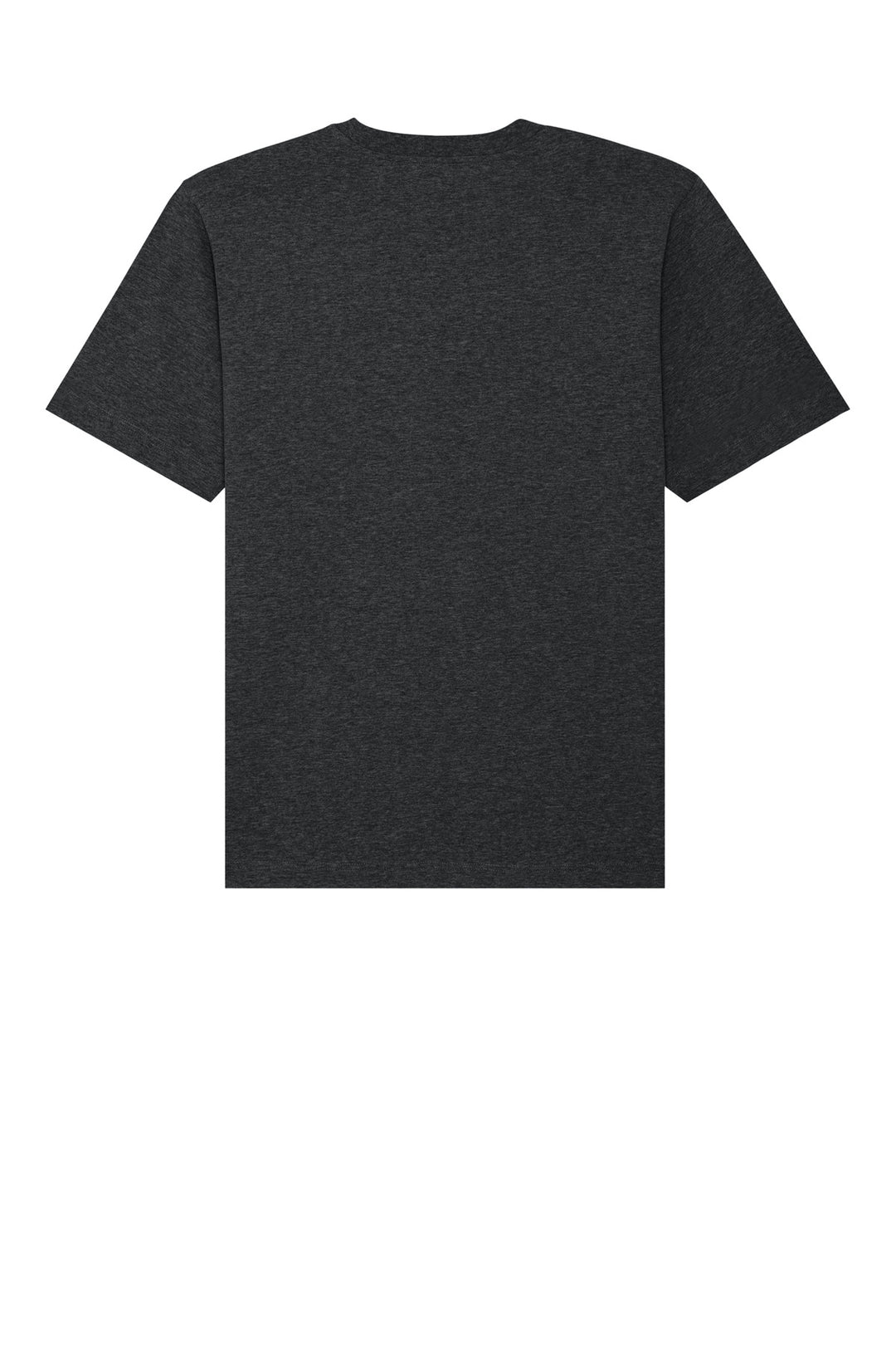 Rear View of DkHtGry Stanley/Stella Unisex Freestyler Heavyweight Tee SXU018