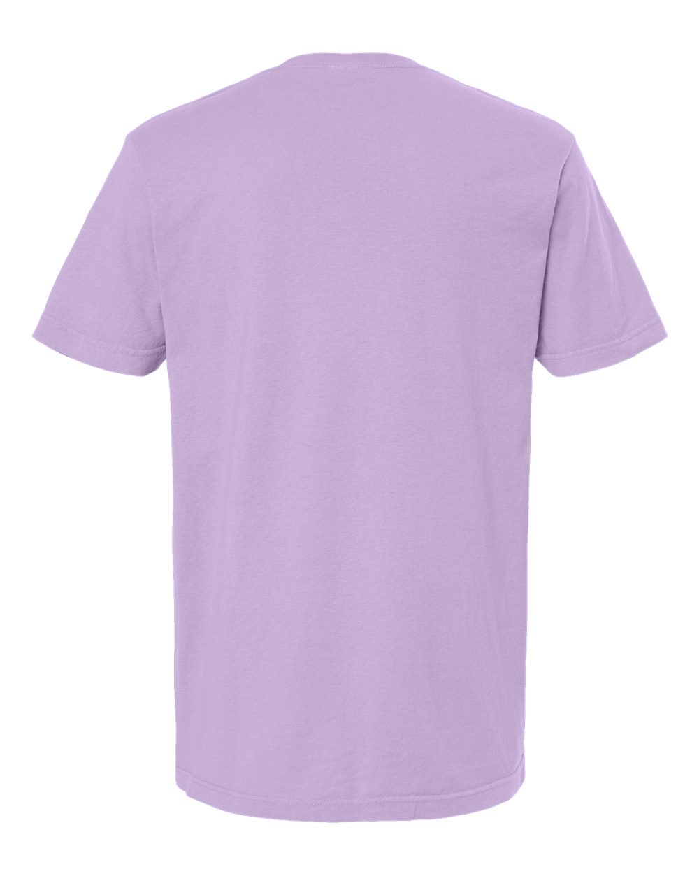 Rear View of Orchid Vintage Garment-Dyed T-Shirt - 6500M