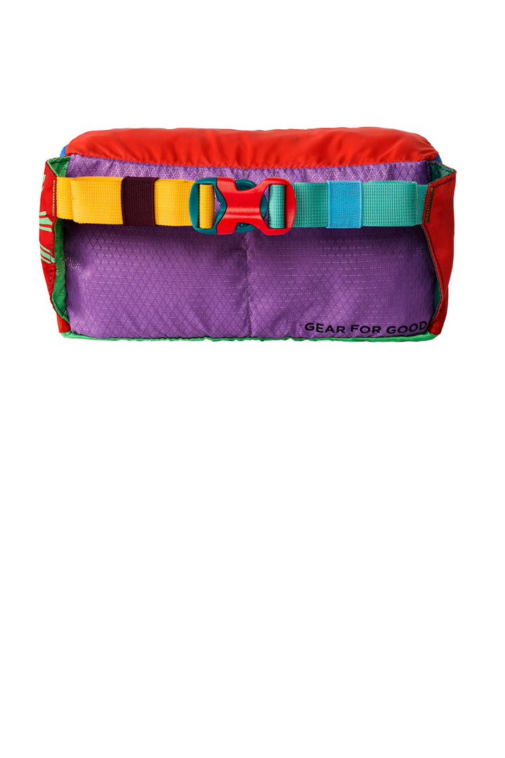 Rear View of Surprise Cotopaxi Del Dia Hip Pack COTODDFP